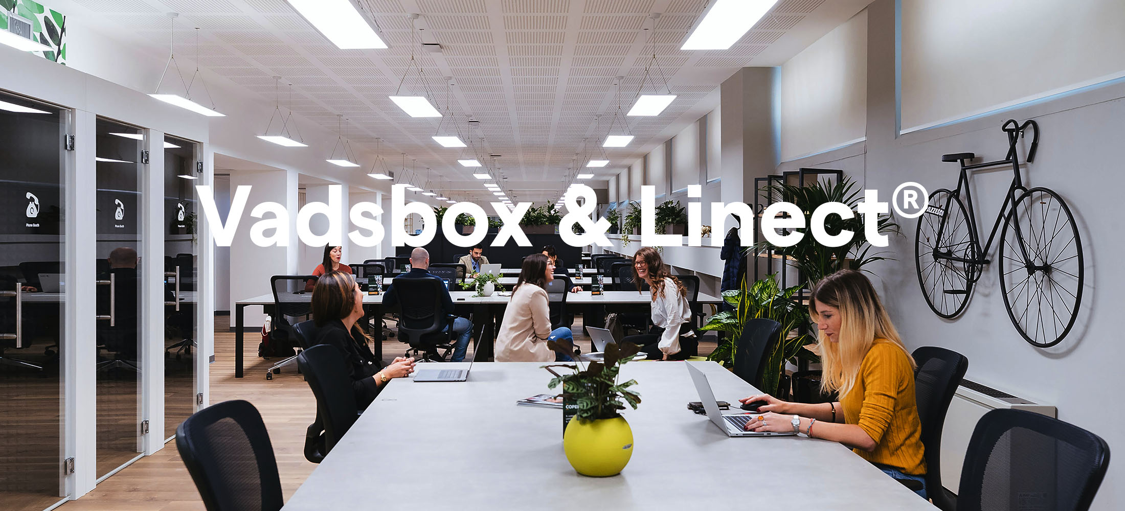 Linect – Vadsbo (EN)